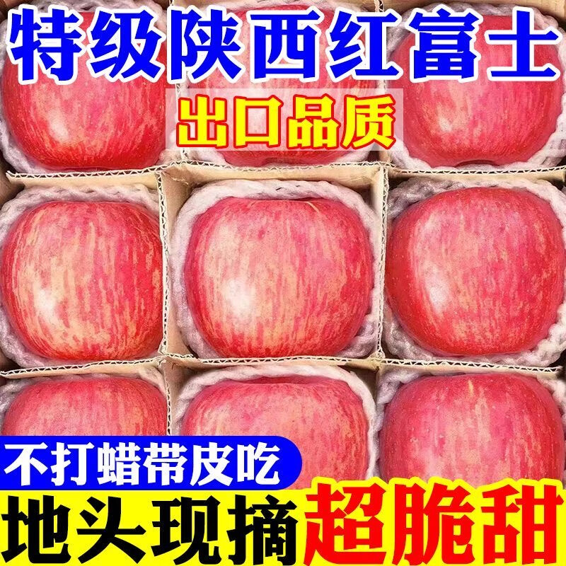 【现摘】正宗洛川苹果当季新鲜水果孕妇脆甜红富士苹果冰糖心水果 膜袋富士70mm+带箱9斤