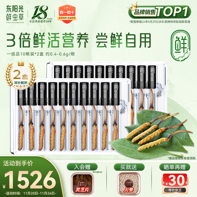 东阳光鲜虫草0.4-0.6g/根20根新鲜冬虫夏草补品送长辈老人源头直发包邮