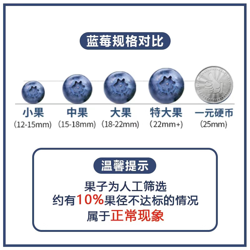 余悦云南花香蓝莓【JD/邮政空运-多地次日达】国产高山蓝莓新鲜送礼 6盒【单果20mm+】125g/盒(净100g)
