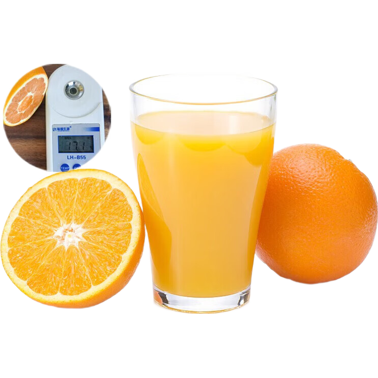 С�������ڽ���������� 10��װ 15.99Ԫ(����ȯ)С����֧��