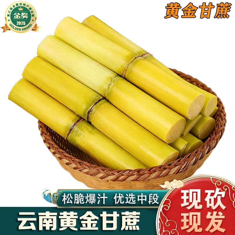 南步云南黄金甘蔗 现砍松脆多汁撕薄皮中段果蔗黄皮白玉甜杆新鲜水果 2斤装 黄金甘蔗