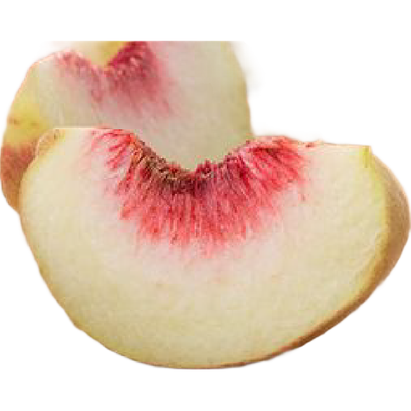 ��������ɽ������������ѩ��ë�������и�ˮ����������ժ-���� ����3�� 13.9Ԫ(����ȯ)