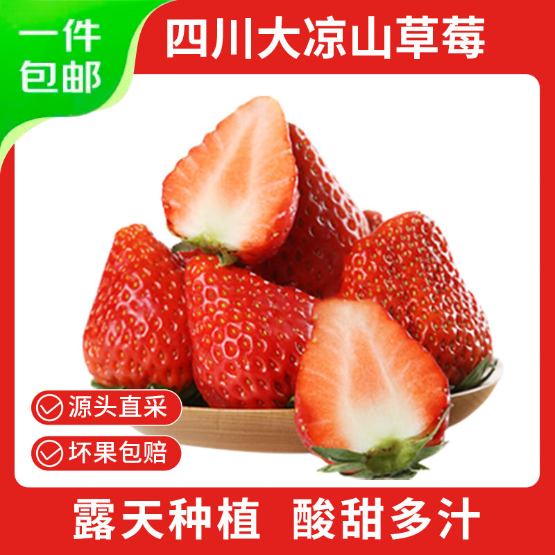 东东田四川大凉山草莓酸甜多汁现摘新鲜时令水果生鲜 3斤装丨【甄选10g+】净2.5斤