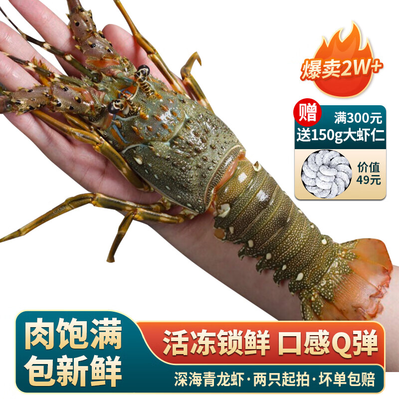 鲟好物 新鲜国产小青龙虾 大龙虾花龙虾 鲜活冷冻大虾生鲜虾类 海鲜水产 150-200g/只【尝鲜款】