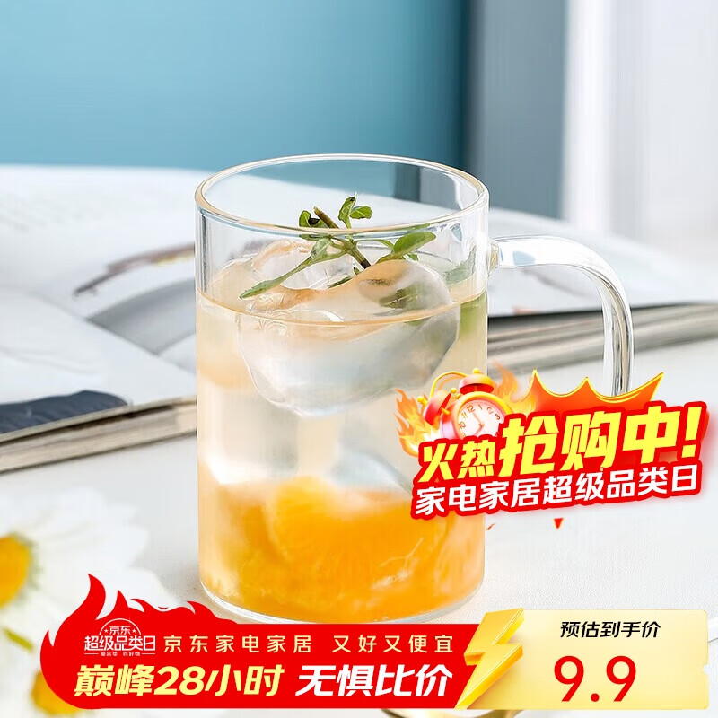 唯铭诺玻璃杯耐高温泡茶杯子男士办公室带把喝水杯单层高硼硅玻璃杯