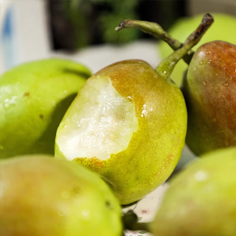 绿熊庄园新疆直采库尔勒香梨脆甜小香梨皮薄脆甜多汁应季孕妇水果当季时令 二级果24枚 单果70-100g