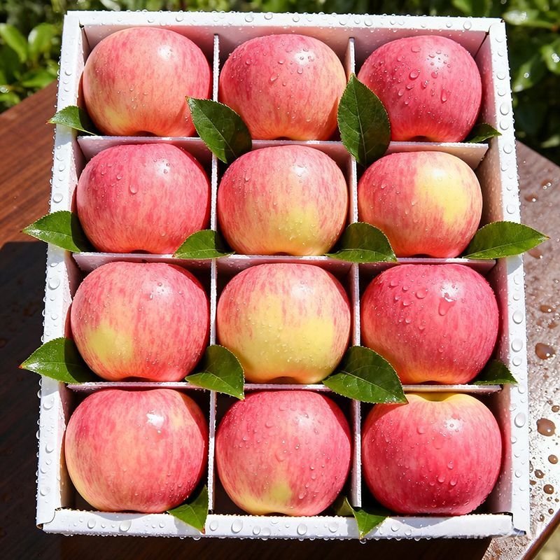 享佳恬山西红富士苹果25年当季水果生鲜脆甜新鲜时令平安果产地直发整箱 8.5斤【单果65mm+】