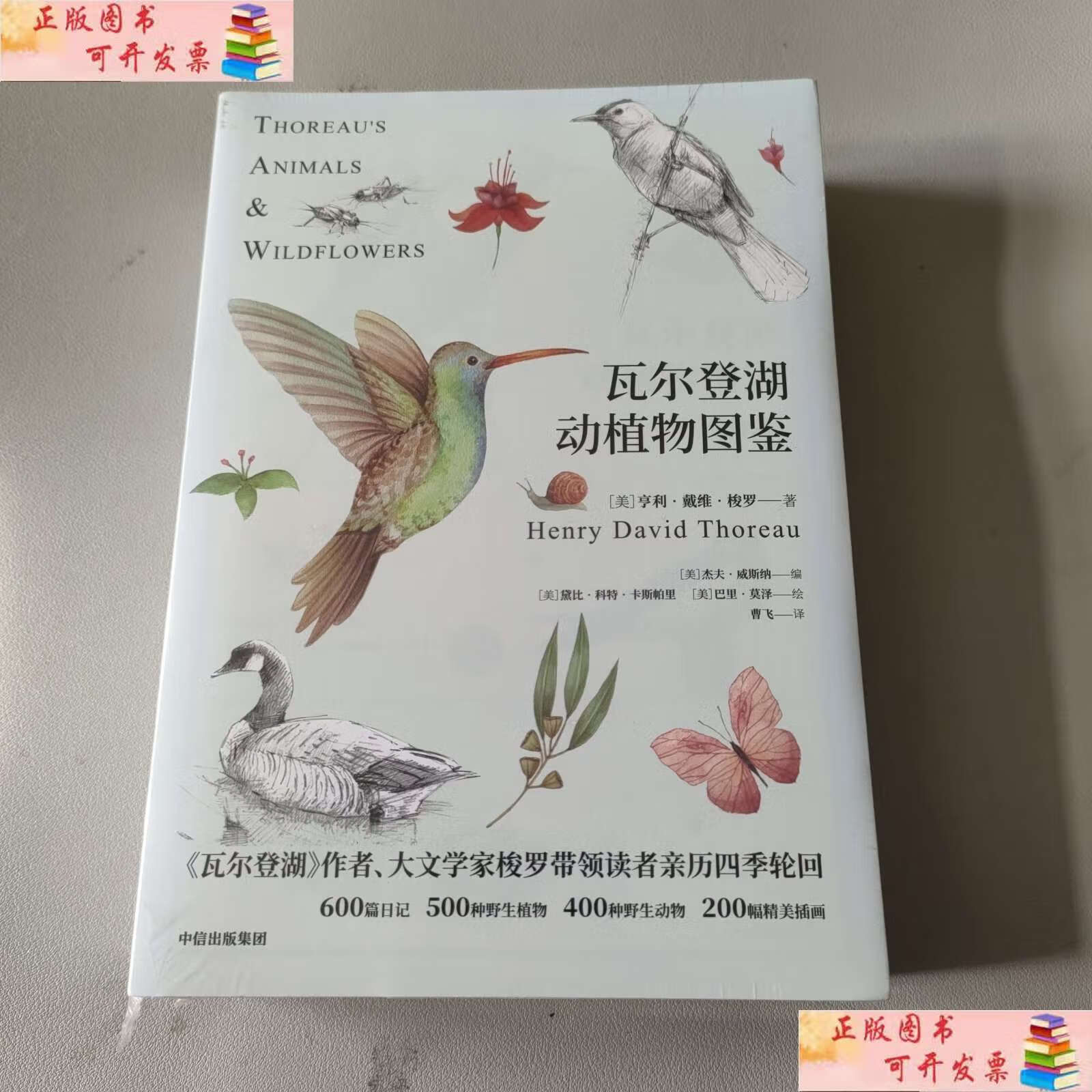 【二手9成新】瓦尔登湖动植物图鉴 /亨利·戴维·梭罗 中信集团,中信