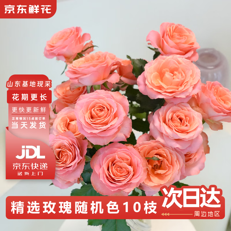京东鲜花随机玫瑰10枝鲜切花基地直发礼品节日年宵节情人礼物花束源头直发