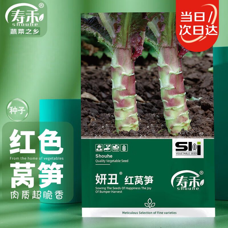寿禾 红莴笋种子种苗红叶农家春季播蔬菜种籽 潍育妍丑红莴笋种子15g