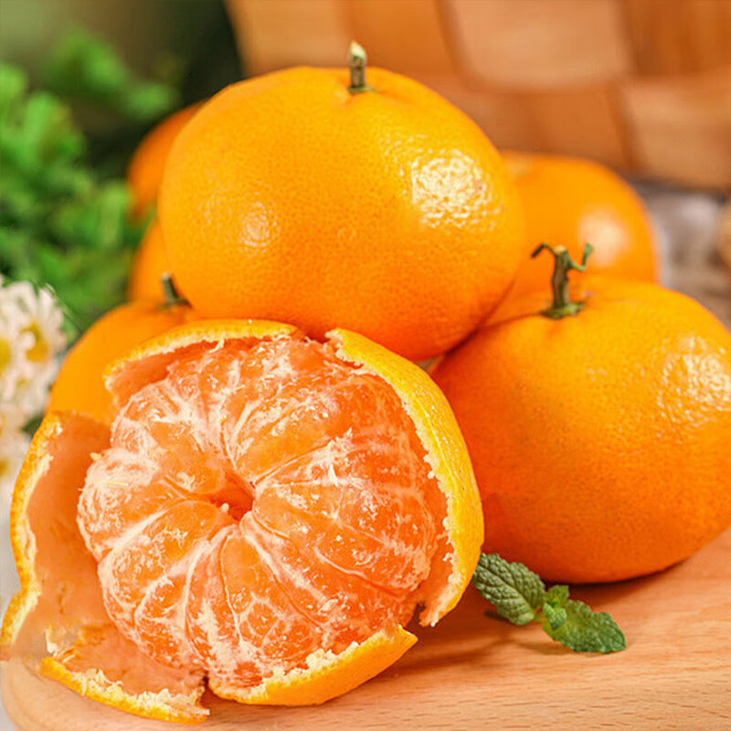 青馋猫正宗广西武鸣沃柑产地现摘现发当季水果新鲜沃柑纯甜蜜桔柑橘整箱 净重4.5斤-超值装【70-75mm】带箱