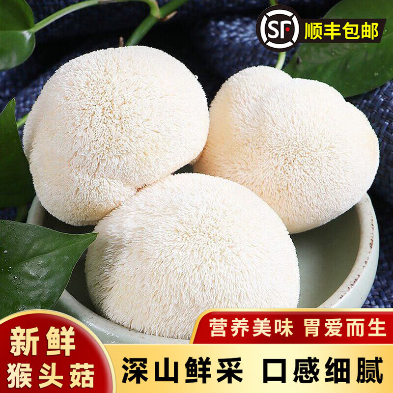 鲜珥家新鲜猴头菇2斤装顺丰发货现摘现发火锅煲汤食材古田特产工厂直销 新鲜猴头菇2斤【顺丰发货】