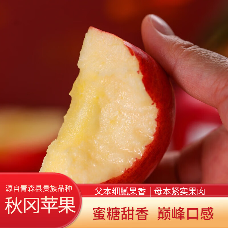 洛川高原秋冈苹果EV 花蜜甜香品种来自"世界第一"+"昂林"年货礼盒 严选中大果【4.5斤家庭分享装】9-12 枚 | 顺丰锁鲜
