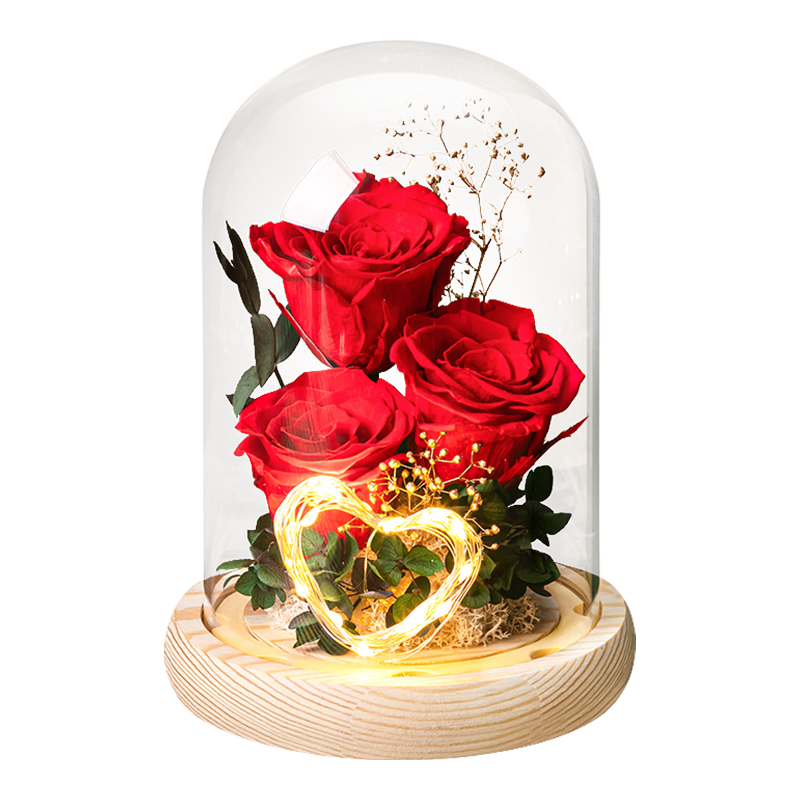 ȻIvenranڼŮʿʥн»õ廨 146Ԫ