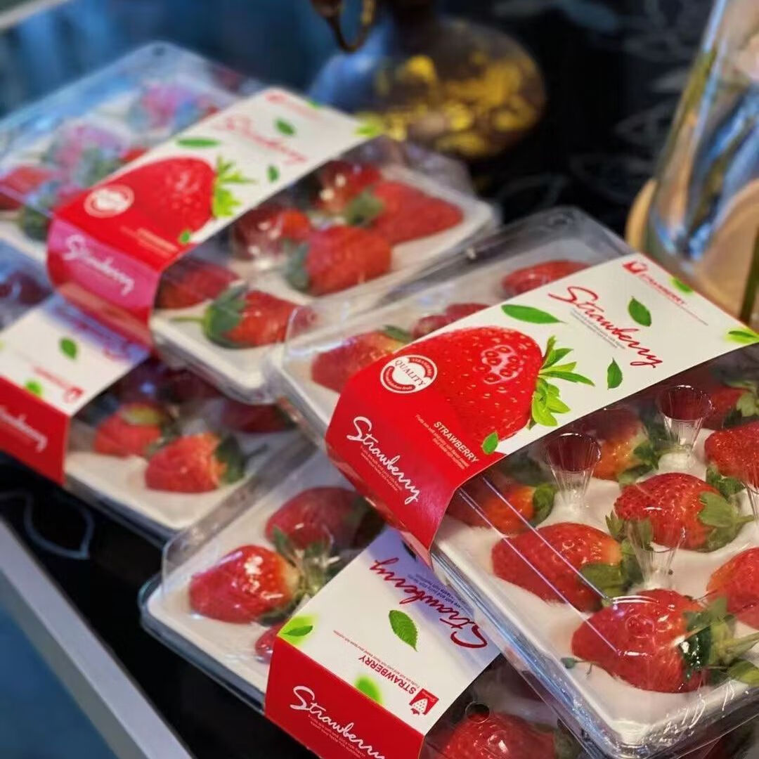 千园九味大凉山奶油草莓红颜99 新鲜水果草莓生鲜现摘发送女朋友礼物女生 【顺丰到家】彩箱送礼奶油草莓2盒特大果