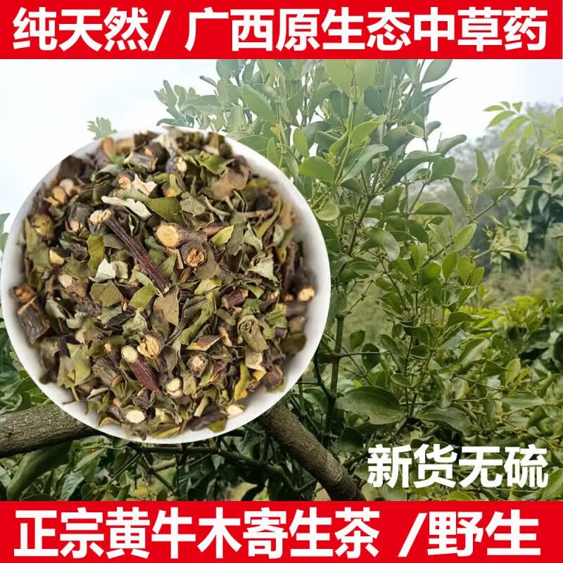 黄牛木寄生茶黄牛木寄生茶广西黄芽木狗牙木寄生 黄牛木寄生/半斤