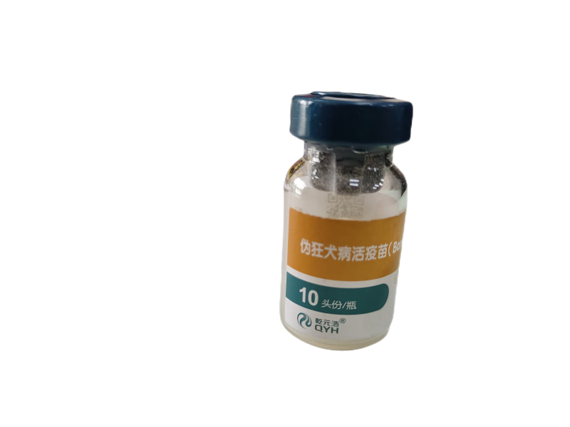 勋狸粑兽用伪狂犬病毒活疫苗(bartha-k61株)10头份/瓶 一瓶