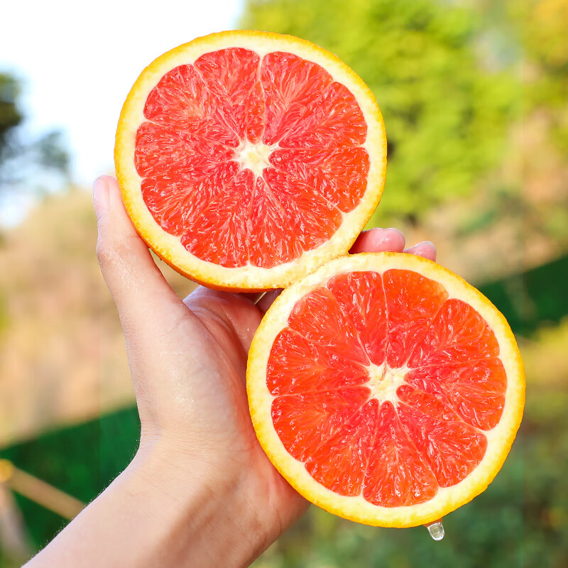 秭归脐橙中华红血橙 新鲜爆汁水果橙子当季生鲜酸甜脐橙整箱榨汁橙团购 净重9斤精品果【65mm+】