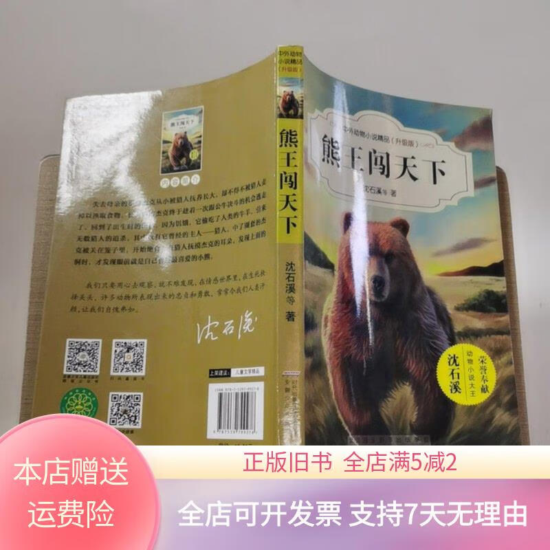 熊王闯天下 安徽少年儿童出版社