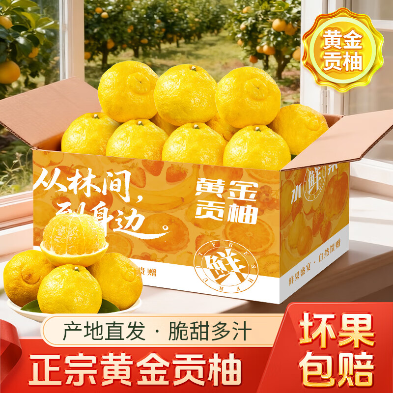 天乐优选湖南怀化洪江黔阳黄金贡柚柚子新鲜水果时令生鲜礼盒 净重4.5斤单果60mm起