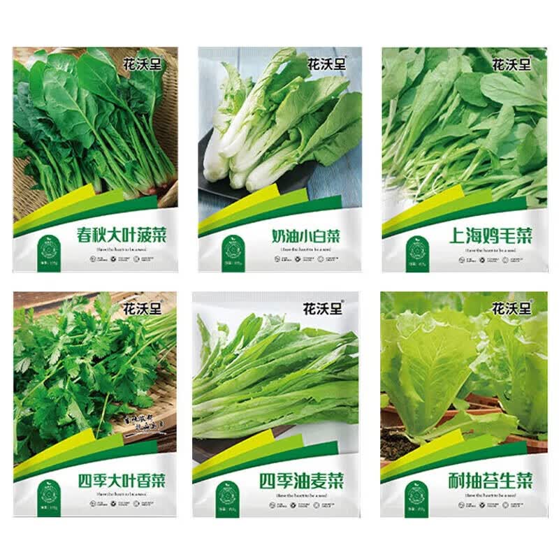 花沃里蔬菜种子大全耐热耐寒生菜菠菜豌豆尖香葱香菜樱桃萝卜鸡毛菜荠菜 6款蔬菜种子大全