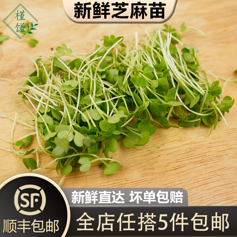 槿馐芝麻苗1盒可食用芽苗菜千宝苗新鲜蔬菜冷盘西餐摆盘装饰点缀 1盒