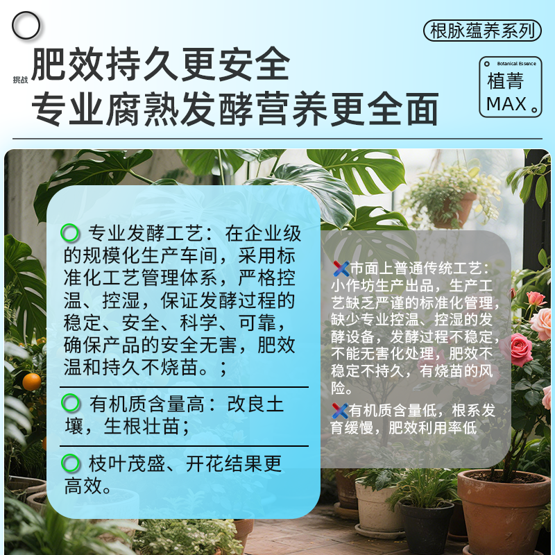 图 6