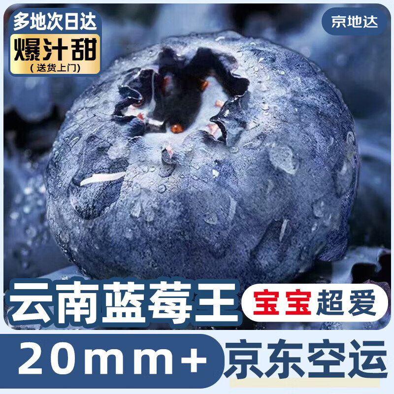 京地达空运云南蓝莓8盒/100g净重1.6斤单果20mm+新鲜水果源头直发包邮