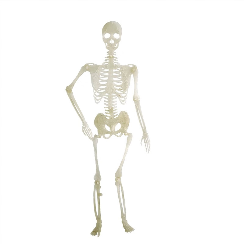 白骨精可备注其他单个人物