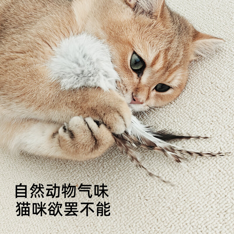 OIMG真兔宠物耐咬猫咪自嗨解闷小猫羽毛逗猫棒静音猫玩具 白兔毛球【羽毛款】