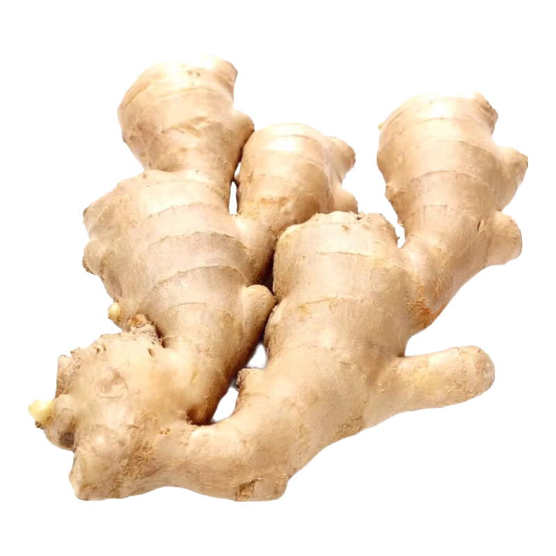 ɽ���Ѳش�ƽ� ���������Ͻ�ɳ�����ӽ� ũ������ �����߲� ����245g 1.99Ԫ