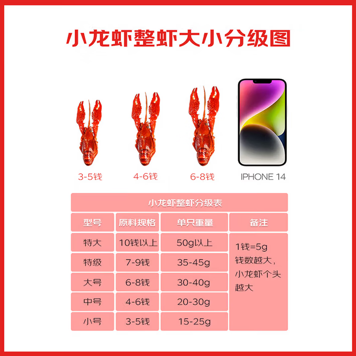 baoqi潜江小龙虾生鲜活麻辣蒜蓉油焖大虾新虾加热即食火锅烧烤食材 礼盒装7.2斤四盒麻辣小龙虾送2盒田螺