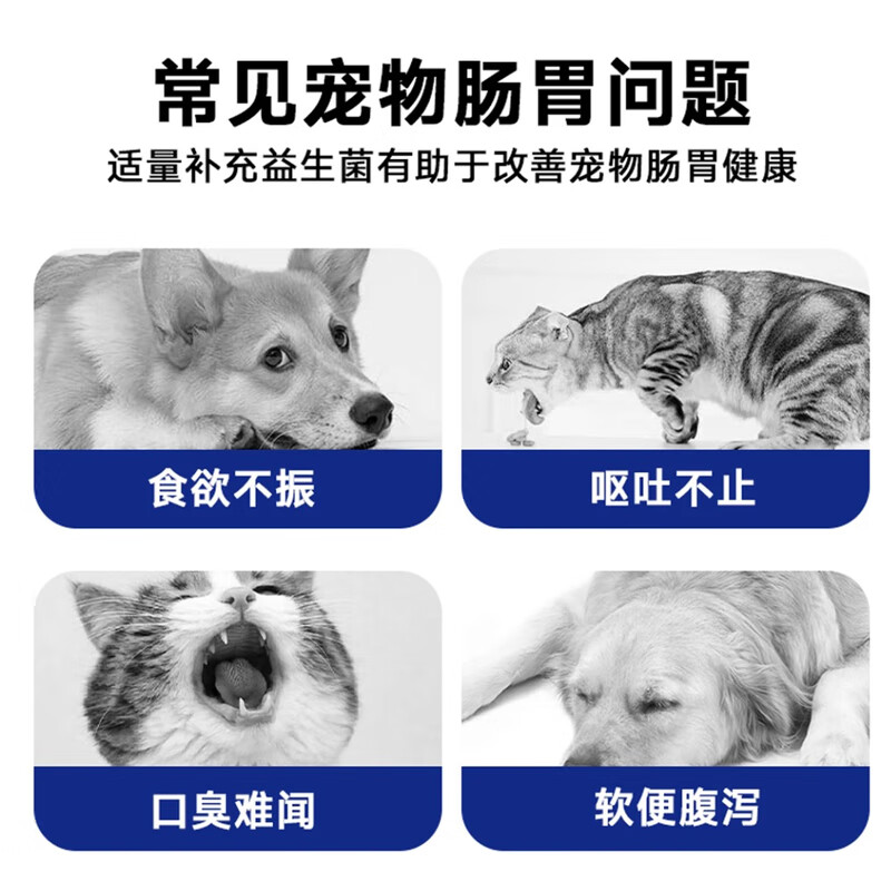 元小歪宠物化毛膏营养温和排毛0乳糖宠物营养益生菌猫狗肠道健康消化 [囤货]宠物益生菌营养补充剂3g*10条*3盒