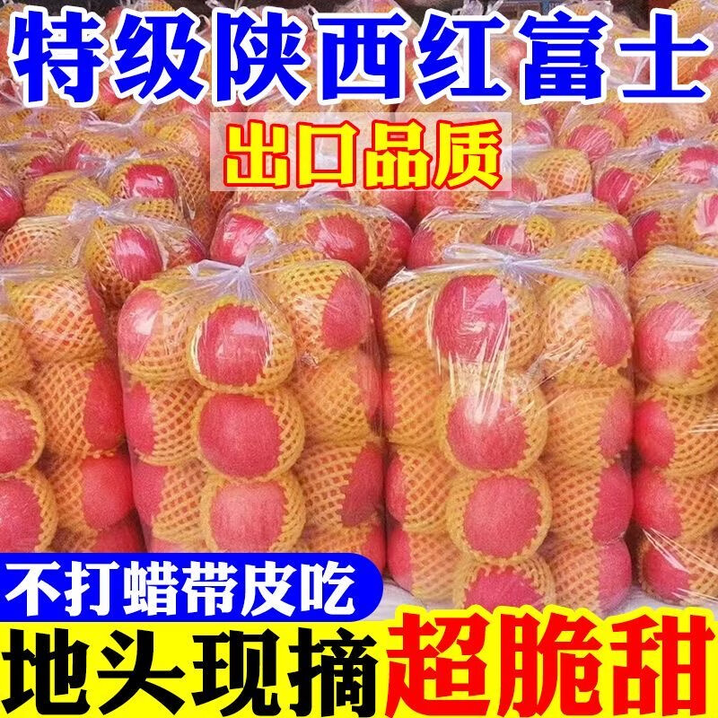 【现摘】正宗洛川苹果当季新鲜水果孕妇脆甜红富士苹果冰糖心水果 膜袋富士70mm+带箱9斤