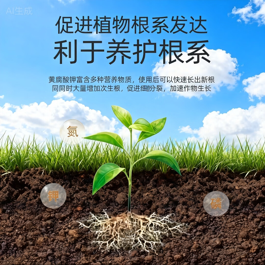 中国农资;SINO-AGRI5斤高端高钾高纯度硫酸钾好原料水溶肥营瓜果蔬菜草莓优惠中 高钾高纯度硫酸钾颗粒 5斤 分装 高钾高纯度钾肥花卉 农作物