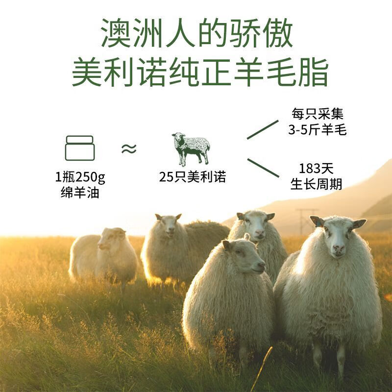 澳芝曼绵羊油面霜保湿滋润维E霜身体乳护手霜秋冬补水乳液品牌授权正品 【体验装】澳芝曼3代经典绵羊油面霜250g*1罐
