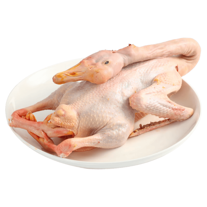 ���ϼ��������ʶ���ũ��ɢ����ֻ��׶�ɱ����6.5-8�� �䶳 Դͷֱ�� 72.9Ԫ