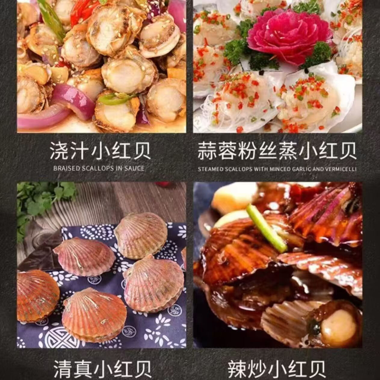 百鲜洽【时令上新】小红贝鲜活大扇贝特大号新鲜水产带壳贝类聚会烧烤 精选大号小红贝 净重5斤(约10-16个/斤)
