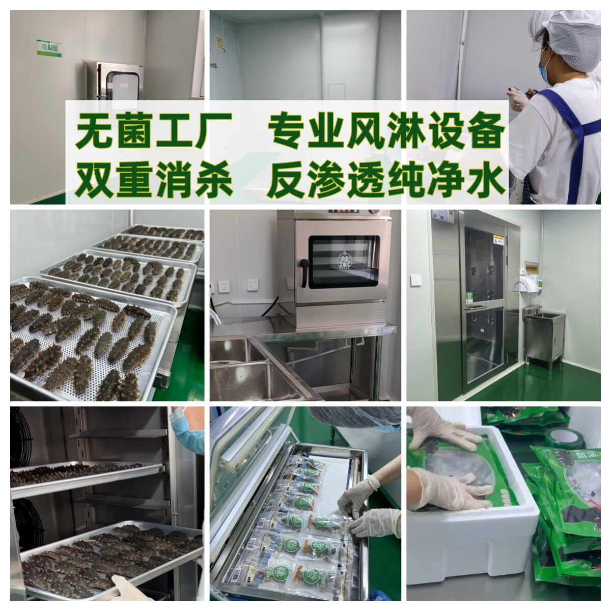 元龙岛即食海参 大连海参 辽参 长海县野生海参底播刺身 鲜食海参礼盒 鲜食海参礼盒1斤 6~10只