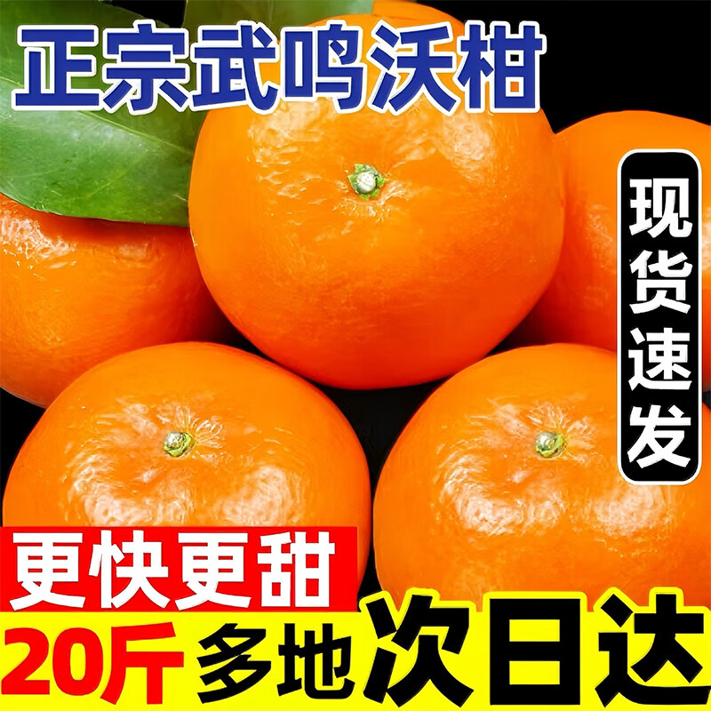 梦宛怡广西武鸣沃柑新鲜孕妇水果橘子柑橘当季整箱礼盒装 净重5斤【单果60-65mm】