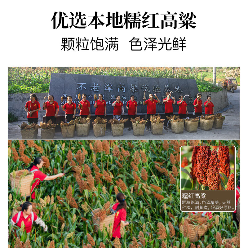 不老潭清香型白酒52度高粱酒纯粮食高度白酒光瓶口粮酒自饮小曲清香桶装 52度 5L 1桶 粮食酒139【清香型】纯高粱酒  新老包装随机发