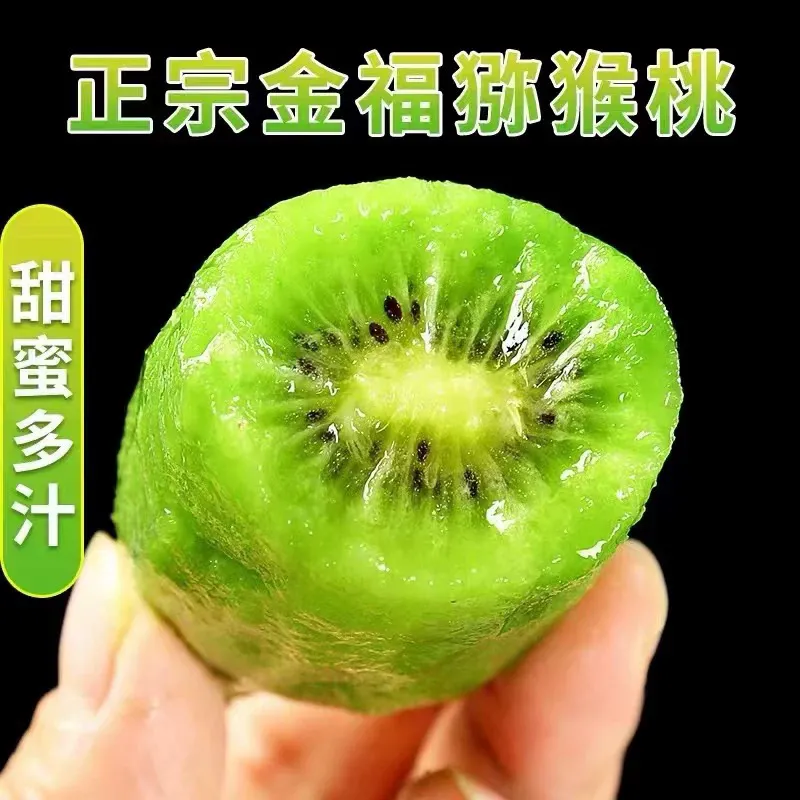 金福猕猴桃绿心猕猴桃应季孕妇当季水果奇异果精品新品种批发价 带箱3斤约22枚左右50-70克