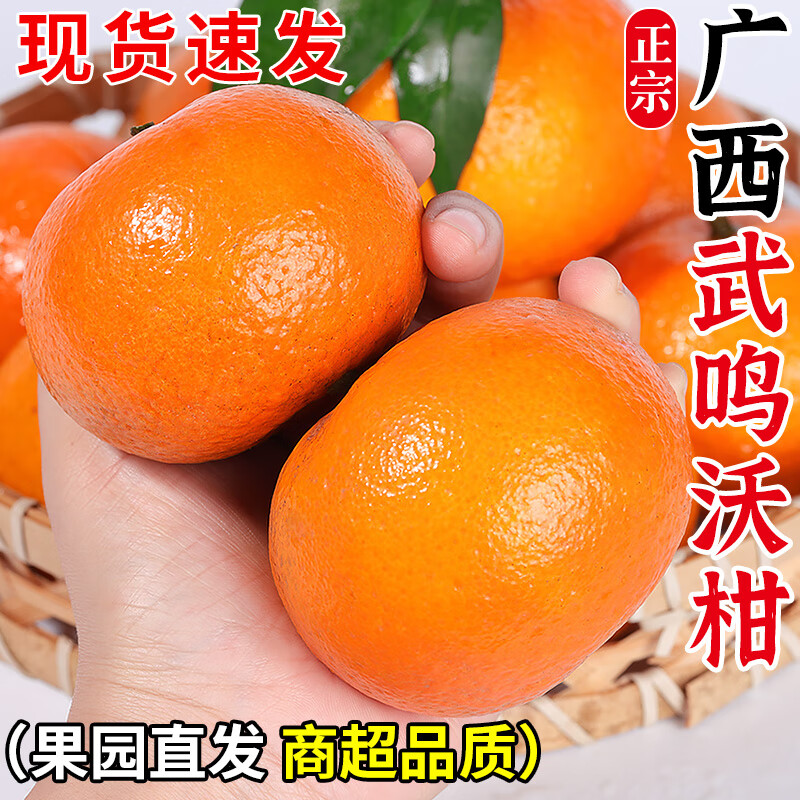 广西沃柑武鸣 纯甜柑橘桔子薄皮多汁沃柑新鲜当季水果 5斤中果果径约60mm