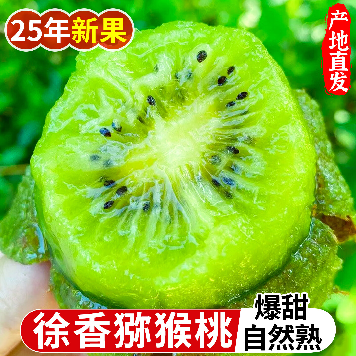 四川红心猕猴桃 15粒单果50-70g