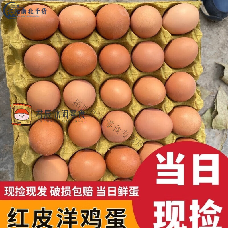 食怀红皮鸡蛋大个无抗农家辅食月子蛋新鲜洋鸡蛋现捡现发健康营养 10枚新鲜红壳鸡蛋(坏了拍照包赔)