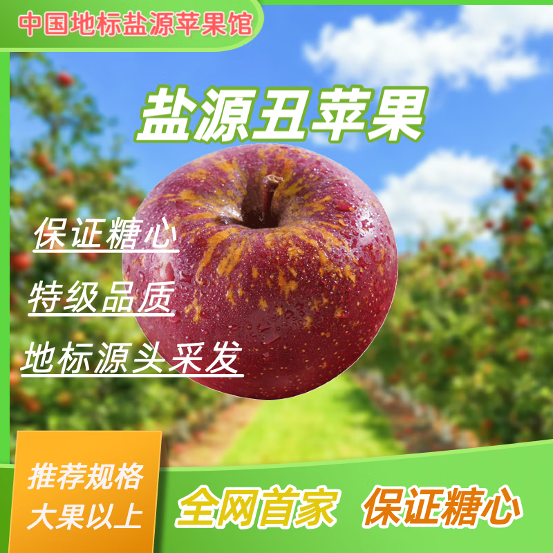 【保证糖心】盐源苹果馆 盐源糖心苹果丑苹果2025现摘现发 净重4.5斤小果20-22枚(糖心率60% 京东折扣/优惠券