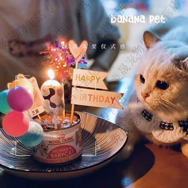 简约生日布置蜡烛装扮蜡烛生日蛋糕装饰插件宠物生日猫咪生日装扮 爱心雨丝+火苗蜡烛一个(随机色)