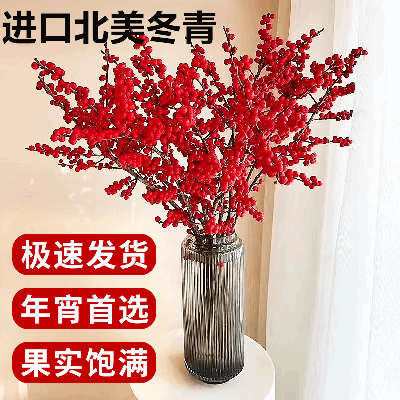 花行榜水培红果鲜切新年花卉盆栽 A级北美冬青40cm5枝+新年挂件源头直发