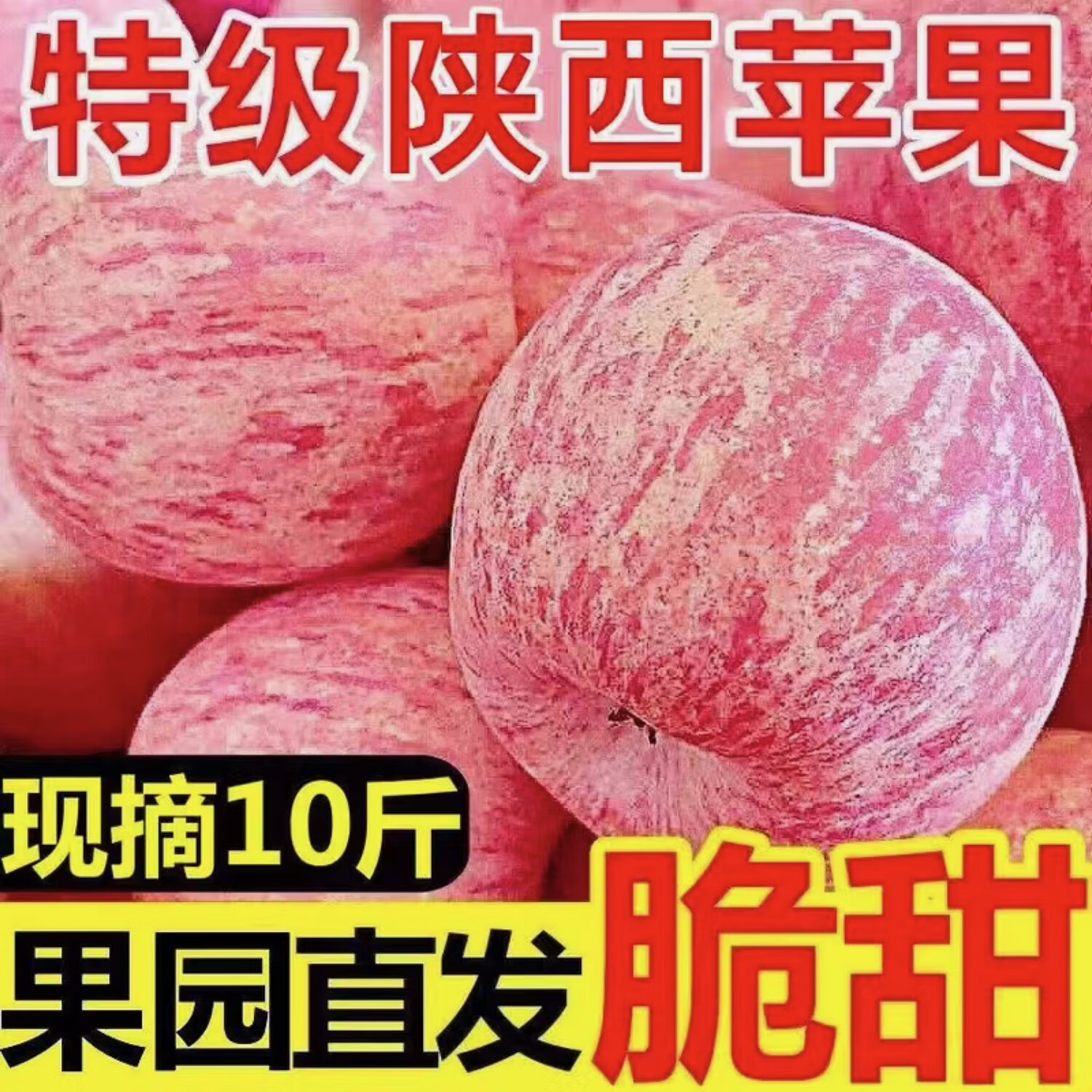 【现摘】正宗洛川苹果当季新鲜水果孕妇脆甜红富士苹果冰糖心水果 膜袋富士70mm+带箱9斤 京东折扣/优惠券