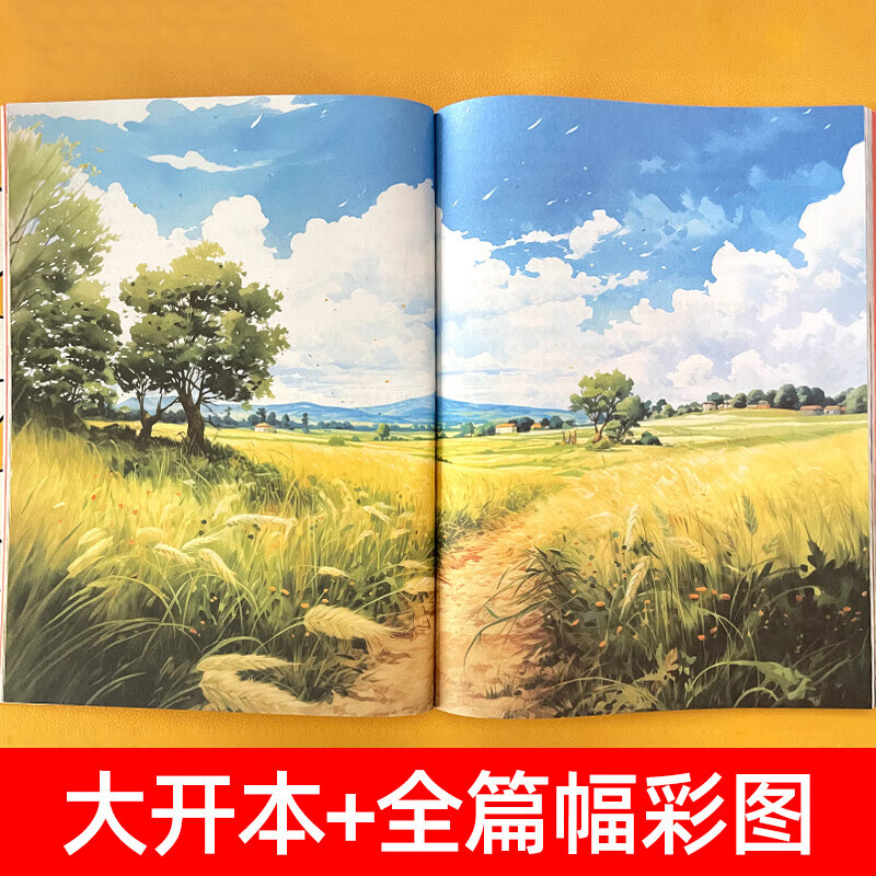【赠帆布袋】森林画报春夏秋冬全四册 小学生三四五六年级课外阅读书 适合小学8~12岁阅读儿童文学童话故事书绘本书籍童书蜗牛图书 【赠帆布袋】森林画报·春夏秋冬(全4册)
